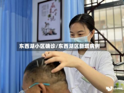 东西湖小区确诊/东西湖区新增病例